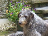 Aren't I gorgeous!